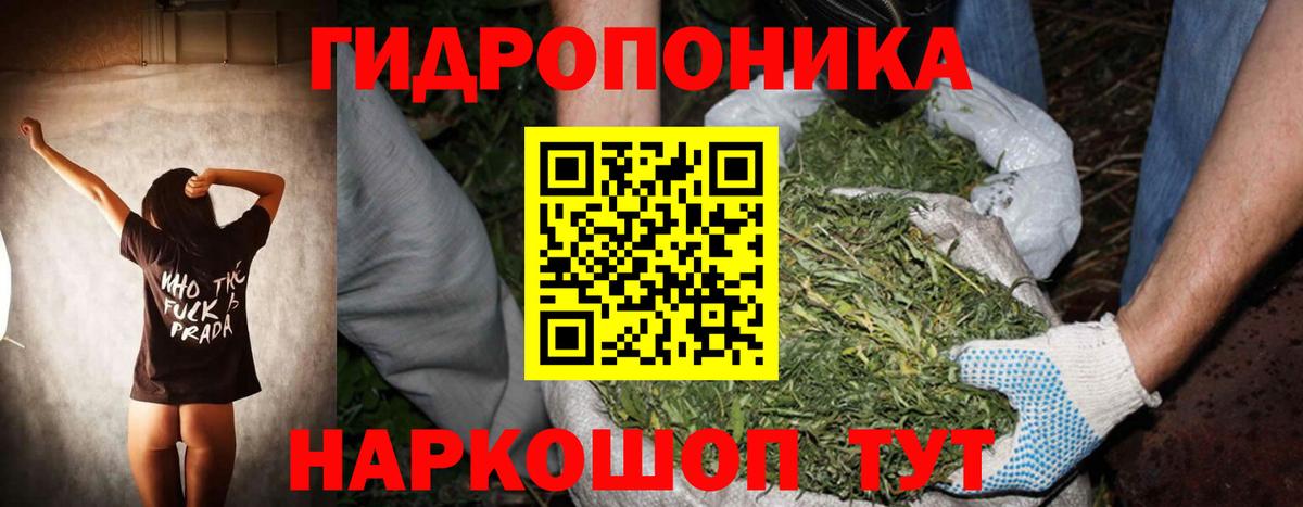 Бошки марихуана THC 21%  Бошки марихуана VHQ  Псков  Вход с VPN 